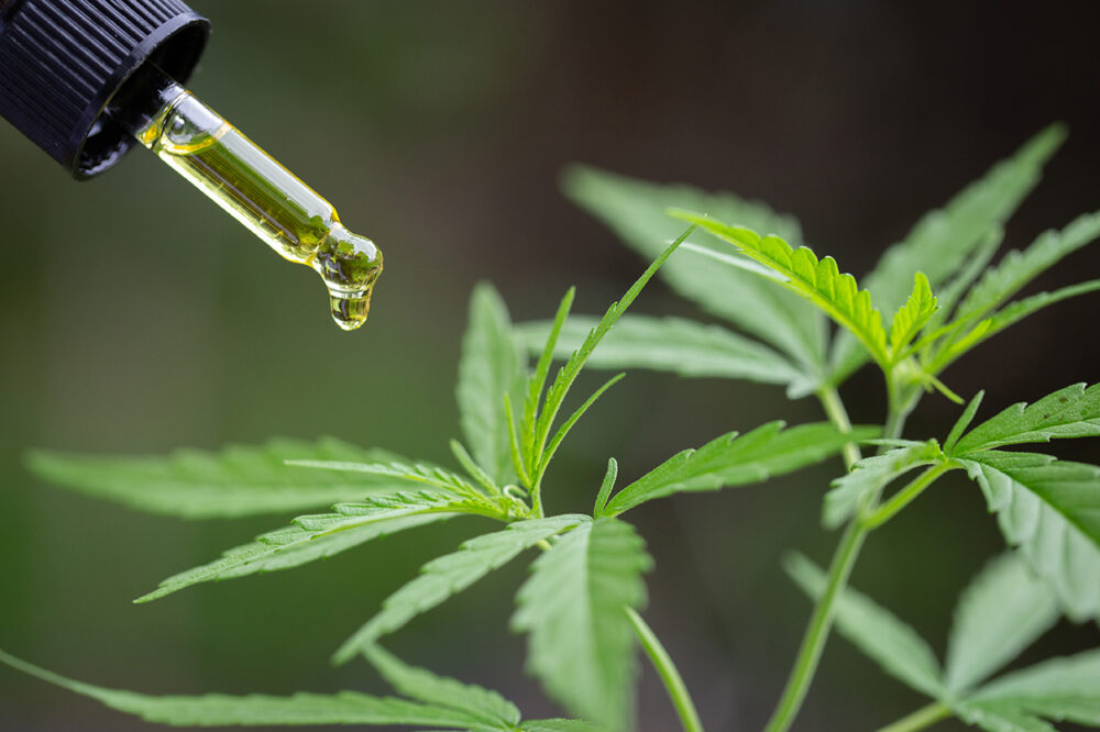 The Difference Between CBD and Full Spectrum Hemp Extract